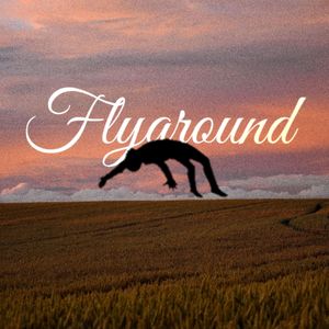 Flyaround
