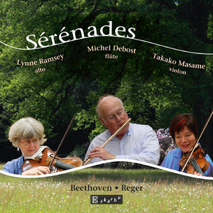Serenade in D Major, Op. 25:III. Allegro molto