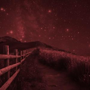 The ambient