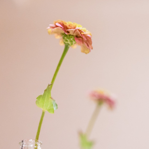 少しずつ前に (Long Version)