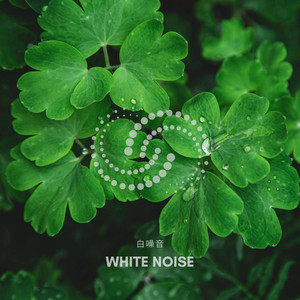 綿綿細雨 睡眠白噪音牆
