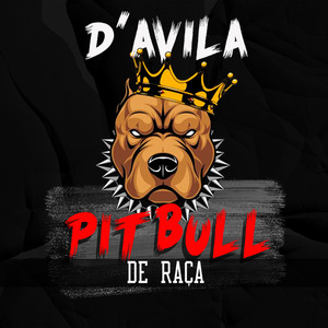 Pitbull de Raça
