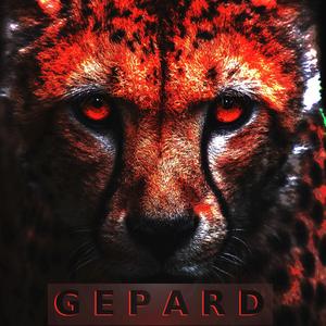 Gepard