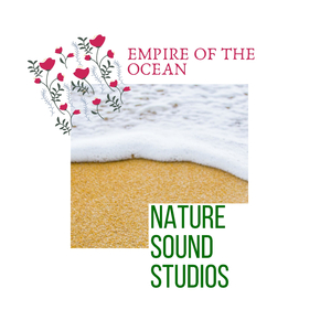 Nightforest Bug Showers