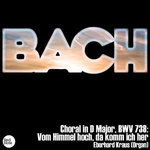 Choral: Vom Himmel hoch, da komm ich her in D Major, BWV 738