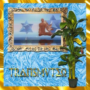 Motivational Holography Suite