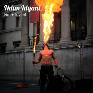 Ndim Idyani