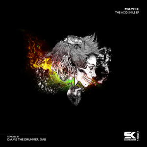 The Acid Smile (D.A.V.E THE DRUMMER Remix)