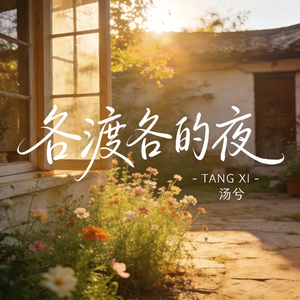 各渡各的夜