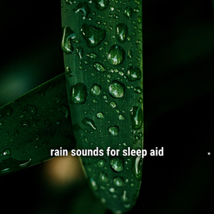 sleepy rain