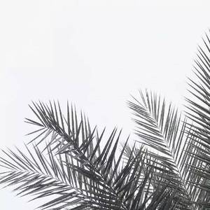 追梦人（Cover 罗大佑）