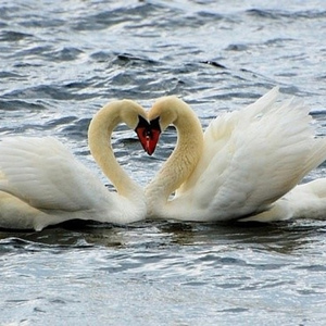 爱是什么东西【编曲作品试唱】