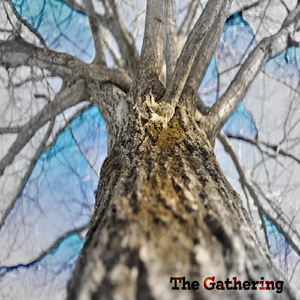 The Gathering