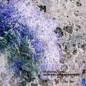 Amazonian (Original Mix)