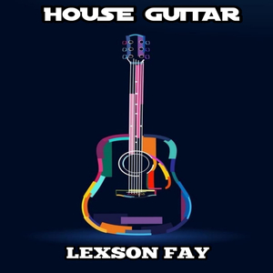 House Guitar