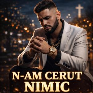 N-AM CERUT NIMIC