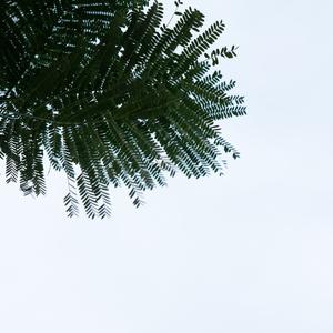 节奏背景音乐之轻音乐 (优美钢琴曲)