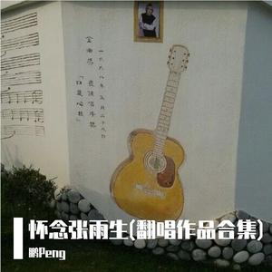 一天到晚游泳的鱼