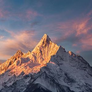 鐙＄嫄鐙￠粻鑱収