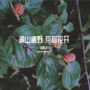 后来(嘿嘿嘿)
