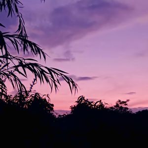 晚风吹过（prod.@Rocky）