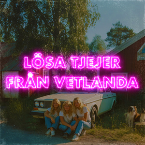 LÖSA TJEJER FRÅN VETLANDA