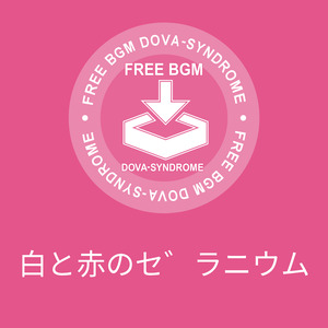 白と赤のゼラニウム