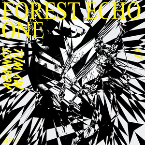 Echoes from the Abyss