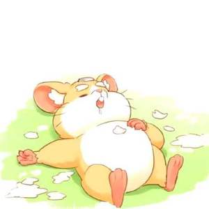 心上秋【忘川风华录】