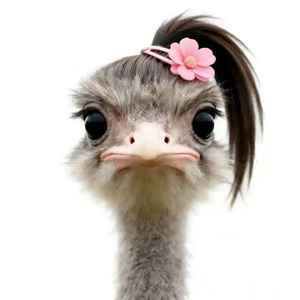 相遇甜度与我的眼泪