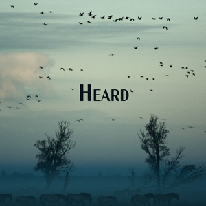 Heard
