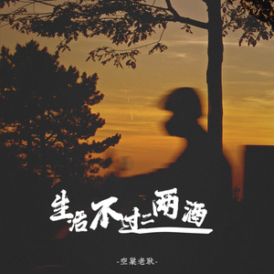 生活不过二两酒 (DJ版)