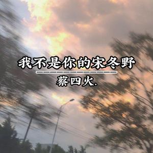 我不是你的宋冬野