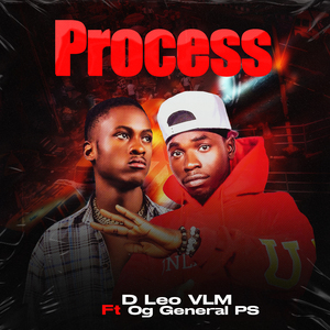 Process