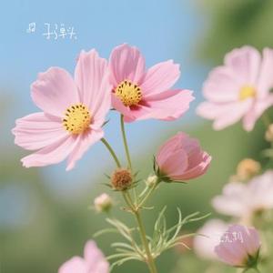 花无期 (Remix)