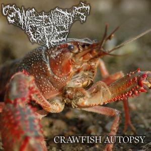 Crawfish Autopsy (Demo)