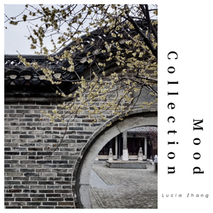 看理想·一千零一夜 钢琴配乐