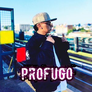 Profugo
