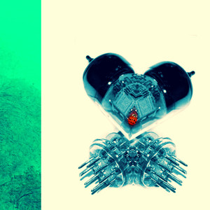 Overture, The Entrance of the Caterpillars