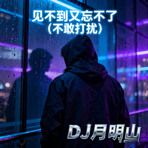 见不到又忘不了 (不敢打扰)