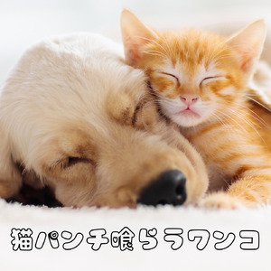 猫パンチ喰らうワンコ