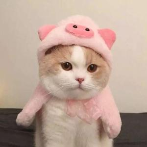 ring ring ring（翻自 捉到一只弯弯）