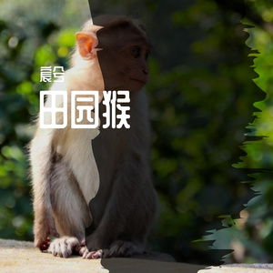 田园猴 (3)