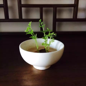 Oops（翻自 Little Mix）