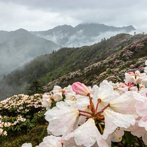 俄尔则俄的春雨