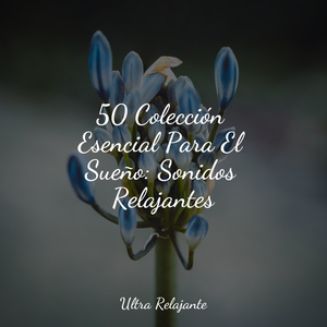 Escalofríos De Principios De Primavera