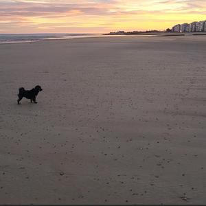 Le syndrome de la belle personne