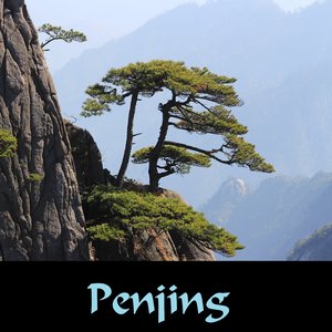 Denseness and Sparseness