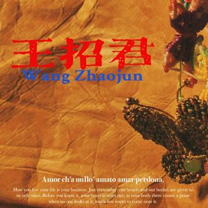 王招君 (你看你拉住我的模样)