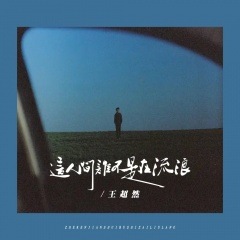 这人间谁不是在流浪 (Live合唱版)